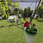Elite Jasmina * Bihać