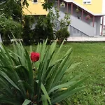 Elite Jasmina *