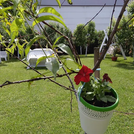 Elite Jasmina * Bihać