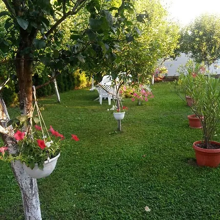 Elite Jasmina Apartman Bihać